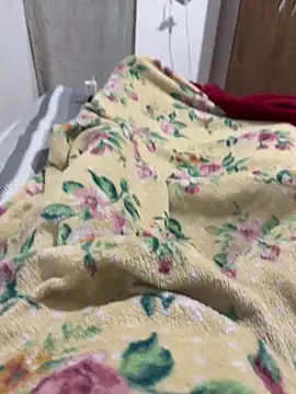 Nupau online show from 03/07/26, 07:44