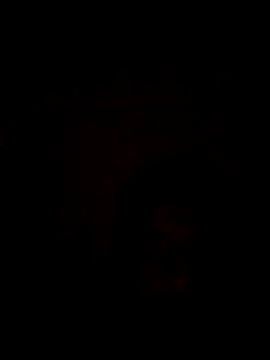 Sexxy-lund00 online show from 05/09/26, 04:45