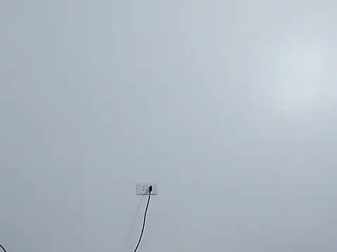 Siglemom sexy online show from 04/01/26, 07:55