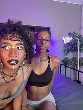 lynx sun online show from 02/04/26, 09:42