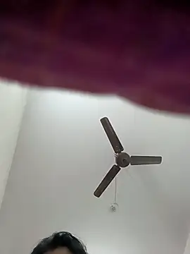 Appypie online show from 11/16/25, 06:41