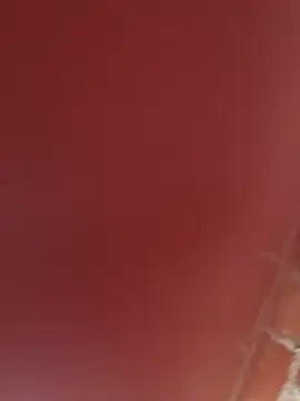 RAKEL37 online show from 11/23/25, 04:18