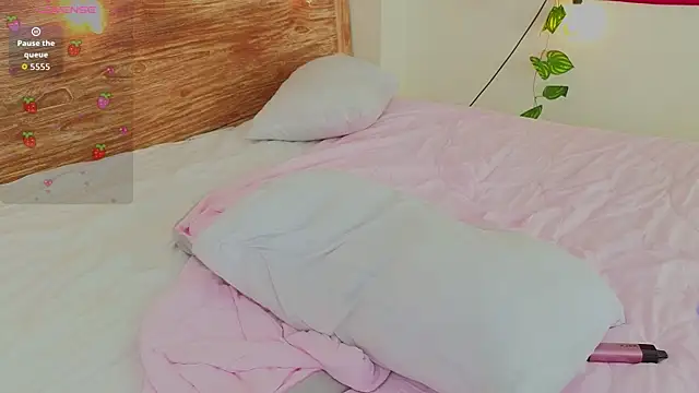 venomeowww   online show from 04/11/26, 07:45