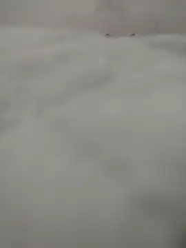 safadomoreno online show from 04/12/26, 12:26