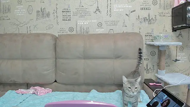 Kelly Gerzikaa online show from 11/29/25, 01:41