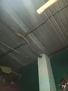 Hot-honi online show from 09/19/25, 01:45