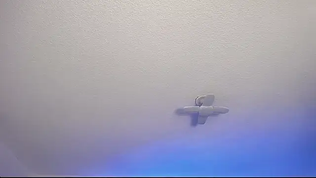  Charlotte Collins  online show from 02/09/26, 02:54