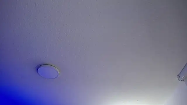  Charlotte Collins  online show from 05/20/26, 03:18