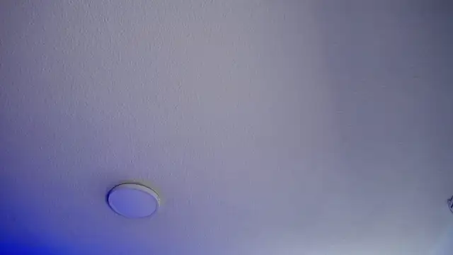  Charlotte Collins  online show from 05/26/26, 03:30