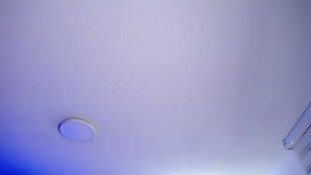  Charlotte Collins  online show from 05/28/26, 03:20