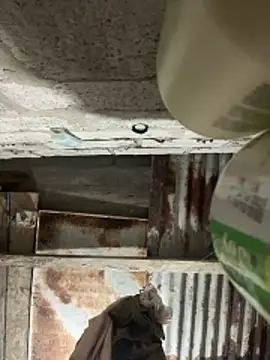 SaraBust online show from 04/07/26, 04:24