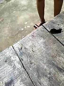 Snapshot of sexy__girls98 chatting on 12/03/25, 05:48 sexy girls98 online show from 12/03/25, 05:48