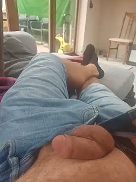 stunning stallion online show from 09/09/25, 09:31