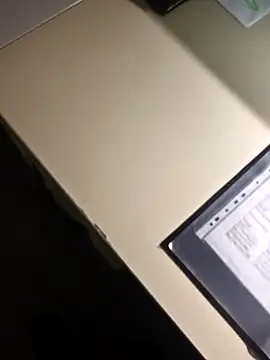 stunning stallion online show from 02/02/26, 09:46