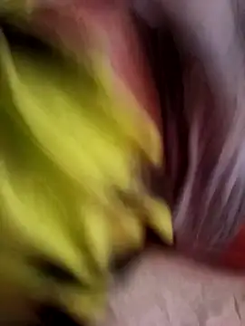 Zedopix123 online show from 04/26/26, 03:42