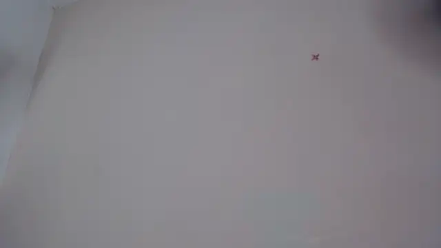 akisha lims26 online show from 10/04/25, 01:09