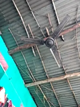 Pooja750 online show from 12/21/25, 04:41