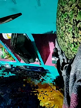 Pooja750 online show from 02/20/26, 06:30