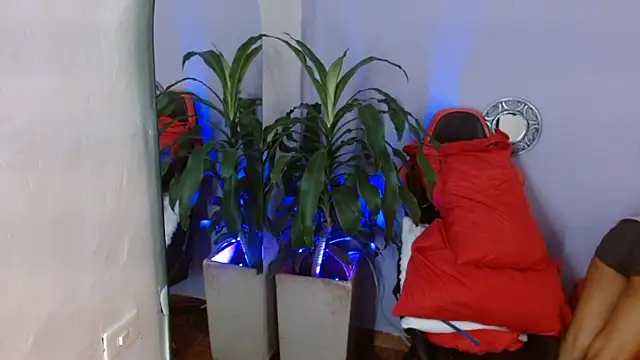 Snapshot of ivy_scorpio chatting on 10/15/25, 05:51 ivy scorpio online show from 10/15/25, 05:51