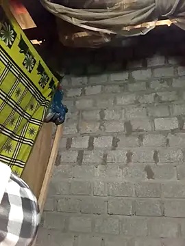 tcm-cute online show from 02/09/26, 02:15