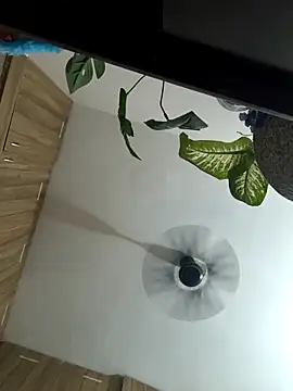 Spoorthi6 Kannada Telugu online show from 03/08/26, 04:33