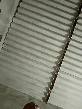 Payal950 online show from 11/13/25, 03:22