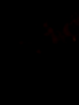 Payal950 online show from 01/31/26, 09:35