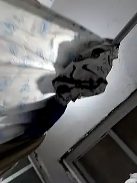 Exotic19cm online show from 11/10/25, 10:42