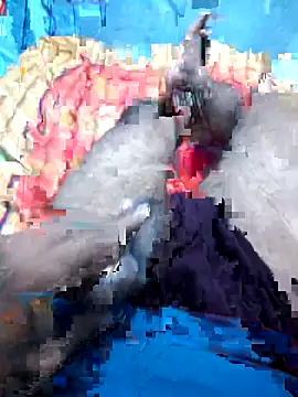 Hyd-bad-boy-25 online show from 09/27/25, 05:56