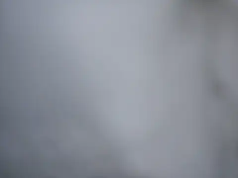 Ricotta1 online show from 12/22/25, 07:49