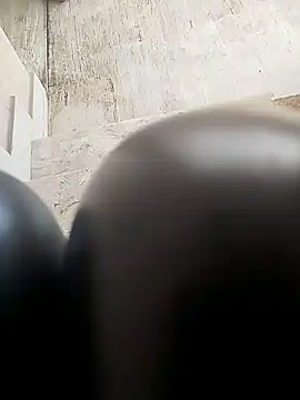 TaraWild online show from 02/04/26, 01:28