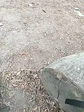 Dasdhon online show from 11/18/25, 10:20