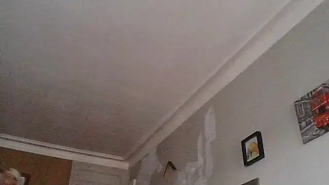 Snapshot of Titilouonlyf69 chatting on 07/23/26, 07:01 Titilouonlyf69 online show from 07/23/26, 07:01