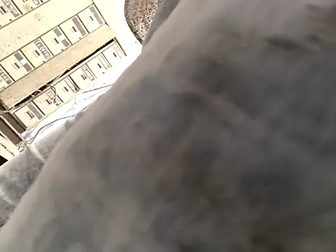 xyz-indian online show from 10/01/25, 10:43