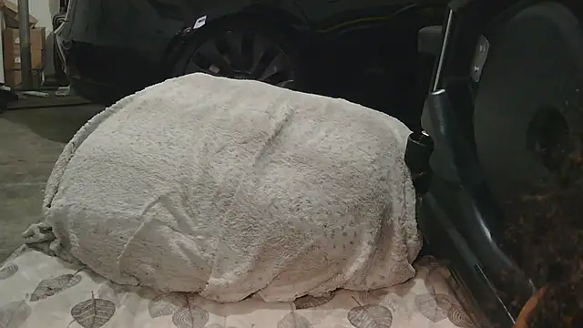 Gmajor online show from 12/15/25, 01:32