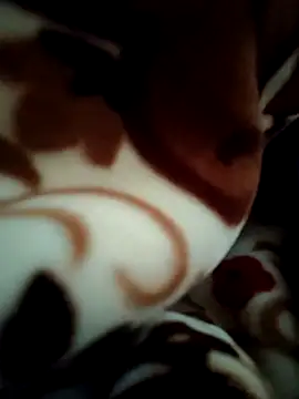 Hot pooja55 online show from 02/11/26, 06:51