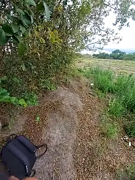 magraocam online show from 11/06/25, 04:08