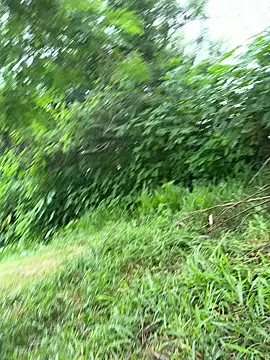 magraocam online show from 03/19/26, 02:21