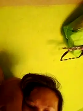 pussywet 08 online show from 05/31/26, 11:17
