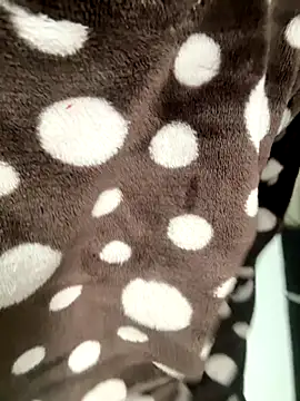 HeerStd online show from 11/17/25, 05:24