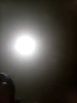 Snapshot of Bebicho14 chatting on 03/17/26, 04:17 Bebicho14 online show from 03/17/26, 04:17