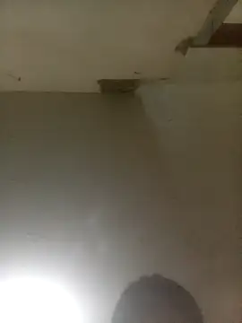 Snapshot of Bebicho14 chatting on 04/04/26, 05:49 Bebicho14 online show from 04/04/26, 05:49