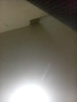 Snapshot of Bebicho14 chatting on 04/07/26, 02:56 Bebicho14 online show from 04/07/26, 02:56