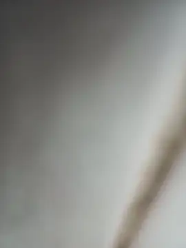 Jobson40 online show from 10/16/25, 12:11