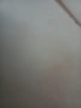 Jobson40 online show from 11/01/25, 12:01