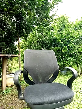 AlphaAlterX online show from 10/12/25, 01:32