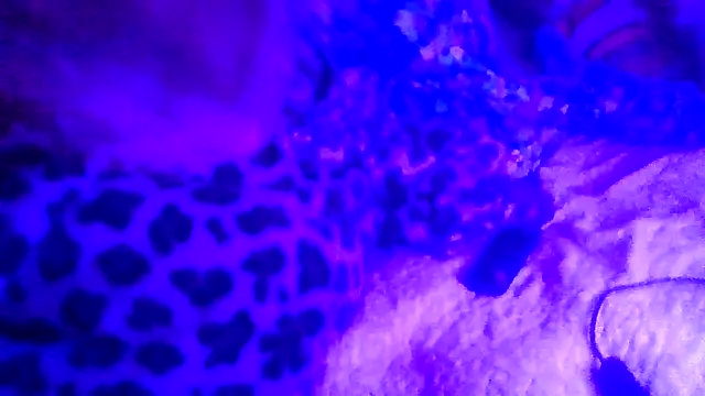 prettymaa online show from 02/19/26, 06:53