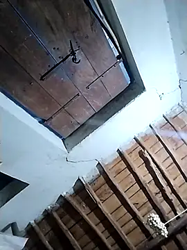 telugu pellam online show from 02/11/26, 04:06