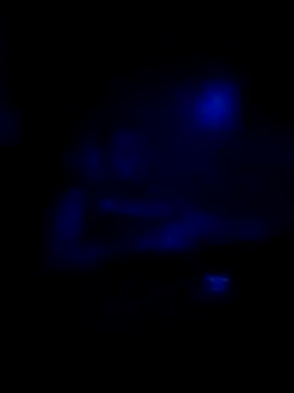 johnboones10 online show from 11/16/25, 08:31