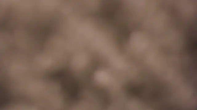 lauren bigboobs22 online show from 03/04/26, 06:14